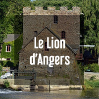 Ouest Immobilier Le Lion d'Angers